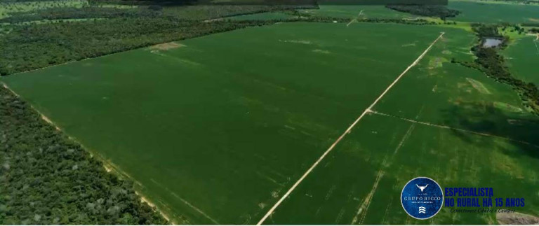 Imagem Fazenda à Venda, 228 m² em Zona Rural - São Miguel Do Araguaia Imagem Fazenda à Venda, 228 m² em Zona Rural - São Miguel Do Araguaia