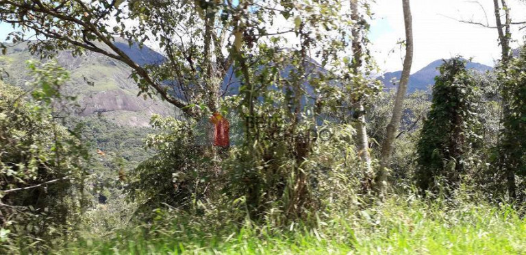 Imagem Terreno à Venda, 4.335 m² em Quebra Frascos - Teresópolis