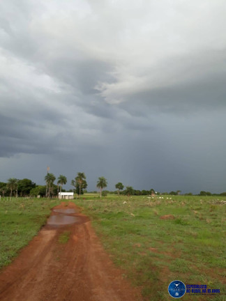 Imagem Fazenda à Venda, 31 m² em Zona Rural - Niquelândia Imagem Fazenda à Venda, 31 m² em Zona Rural - Niquelândia