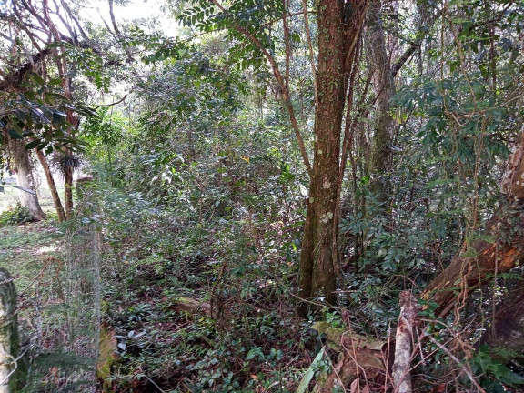 Imagem Terreno à Venda, 1.350 m² em águas Claras - Viamão