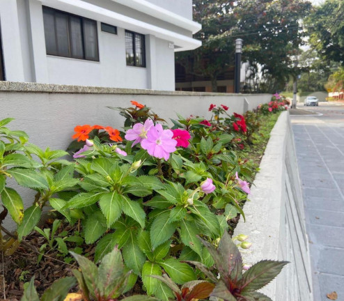 Imagem Apartamento com 2 Quartos à Venda, 67 m² em Canasvieiras - Florianópolis