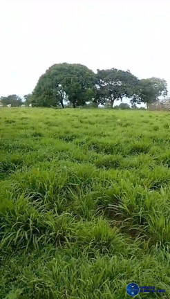 Imagem Chácara à Venda, 15 m² em Zona Rural - Matrinchã Imagem Chácara à Venda, 15 m² em Zona Rural - Matrinchã