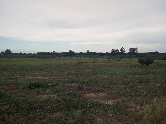 Imagem Chácara com 2 Quartos à Venda, 20.000 m² em águas Claras - Viamão Imagem Chácara com 2 Quartos à Venda, 20.000 m² em águas Claras - Viamão