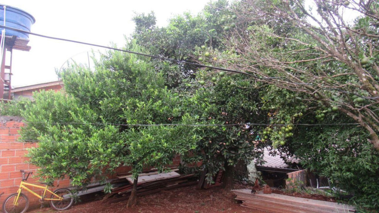 Imagem Casa com 1 Quarto à Venda, 36 m² em Santa Rita - Concórdia Imagem Casa com 1 Quarto à Venda, 36 m² em Santa Rita - Concórdia