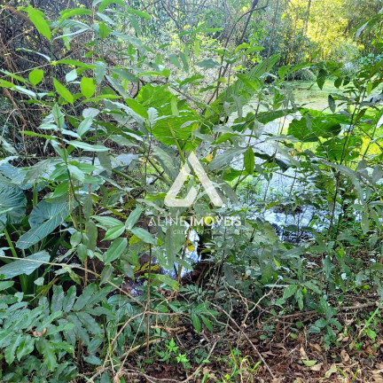 Imagem Fazenda à Venda,  em Educacional - Cruz Alta