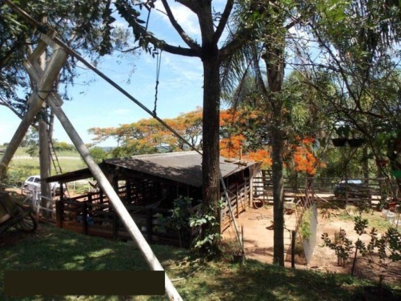 Imagem Imóvel com 2 Quartos à Venda, 42.350 m² em Sitio Novo - Artur Nogueira Imagem Imóvel com 2 Quartos à Venda, 42.350 m² em Sitio Novo - Artur Nogueira