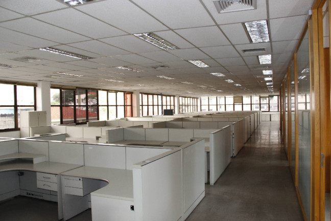Imagem Imóvel Comercial para Alugar, 1 m² em Vila Mascote - São Paulo