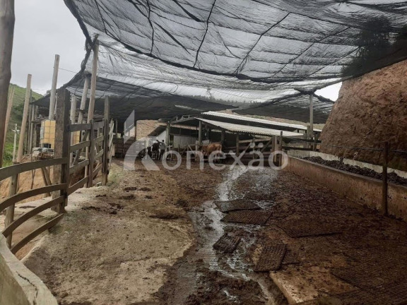 Imagem Fazenda à Venda, 90 m² em Itapeva - Paraibuna Imagem Fazenda à Venda, 90 m² em Itapeva - Paraibuna