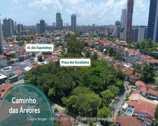 Imagem Apartamento com 2 Quartos à Venda, 72 m² em Caminho Das árvores - Salvador Imagem Apartamento com 2 Quartos à Venda, 72 m² em Caminho Das árvores - Salvador