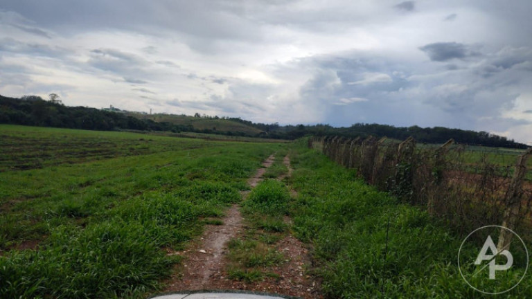 Imagem Terreno à Venda, 81.332 m² em Colônia Dona Luíza - Ponta Grossa