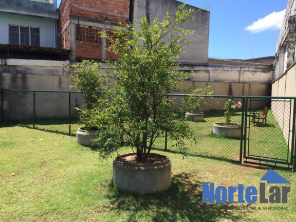 Imagem Apartamento com 2 Quartos à Venda, 50 m² em Vila Palmeiras - São Paulo Imagem Apartamento com 2 Quartos à Venda, 50 m² em Vila Palmeiras - São Paulo