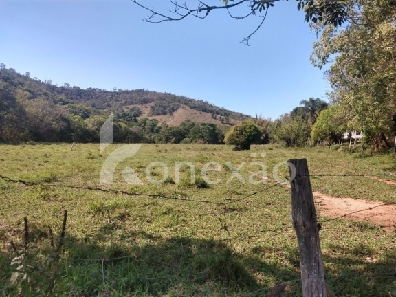 Imagem Fazenda à Venda, 100 m² em Monte Belo - Taubaté Imagem Fazenda à Venda, 100 m² em Monte Belo - Taubaté