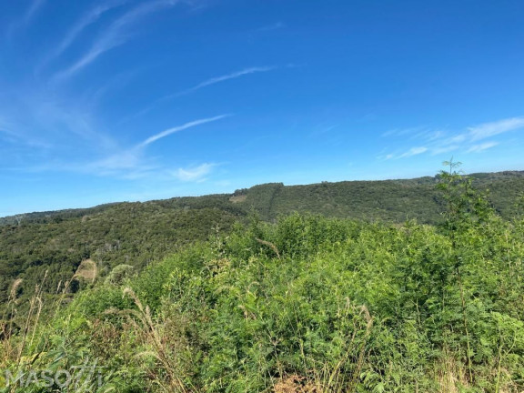 Imagem Chácara à Venda, 144.000 m² em Zona Rural - Três Coroas Imagem Chácara à Venda, 144.000 m² em Zona Rural - Três Coroas