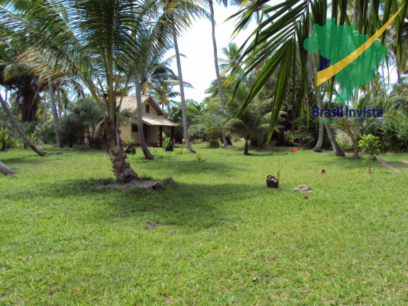Imagem Casa à Venda, em Guaiù - Santa Cruz Cabrália Imagem Casa à Venda, em Guaiù - Santa Cruz Cabrália