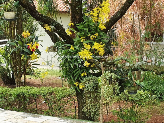 Imagem Chácara com 3 Quartos à Venda, 174.000 m² em Bairro Dos Pintos - Itatiba