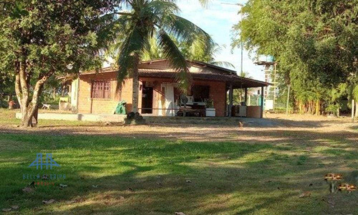 Imagem Fazenda à Venda, 2.190.000 m² em Alça Viaria - Acará Imagem Fazenda à Venda, 2.190.000 m² em Alça Viaria - Acará