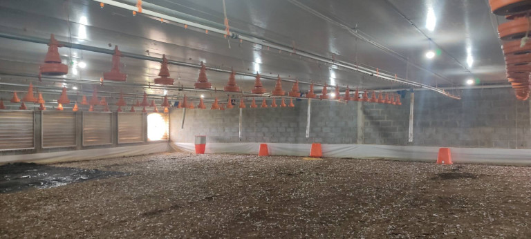 Imagem Chácara com 3 Quartos à Venda, 774 m² em Zona Rural - Alambari Imagem Chácara com 3 Quartos à Venda, 774 m² em Zona Rural - Alambari