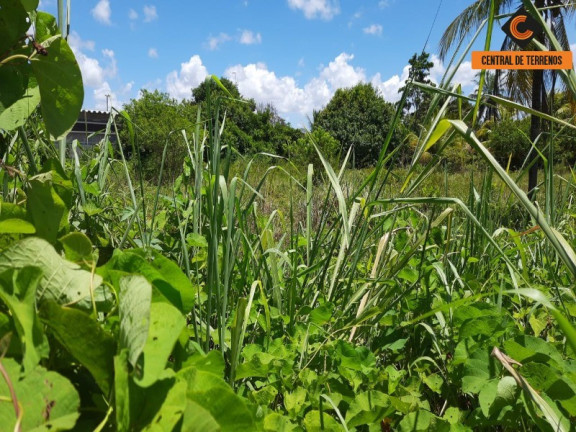 Imagem Terreno à Venda, 8.044 m² em Abrantes - Camaçari Imagem Terreno à Venda, 8.044 m² em Abrantes - Camaçari