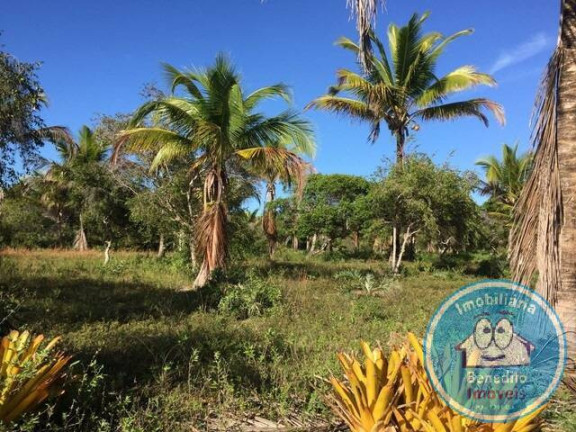 Imagem Terreno à Venda, 22.460 m² em Trancoso - Porto Seguro Imagem Terreno à Venda, 22.460 m² em Trancoso - Porto Seguro
