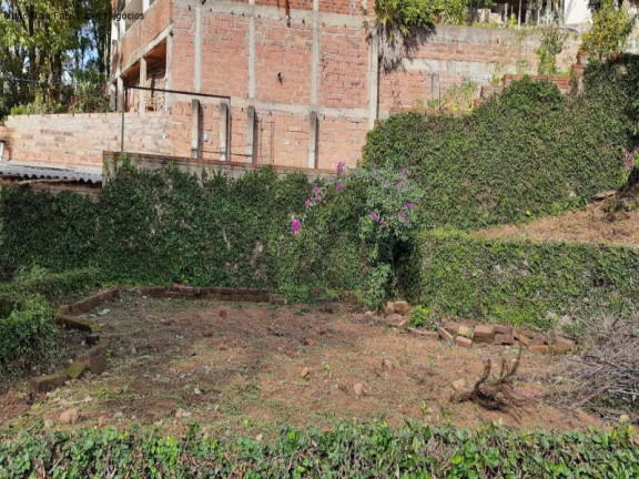 Imagem Casa com 3 Quartos à Venda, 169 m² em Piá - Nova Petrópolis Imagem Casa com 3 Quartos à Venda, 169 m² em Piá - Nova Petrópolis