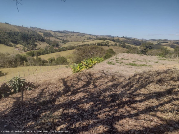 Imagem Chácara à Venda, 44.800 m² em Santo Antônio De Caldas - Caldas Imagem Chácara à Venda, 44.800 m² em Santo Antônio De Caldas - Caldas