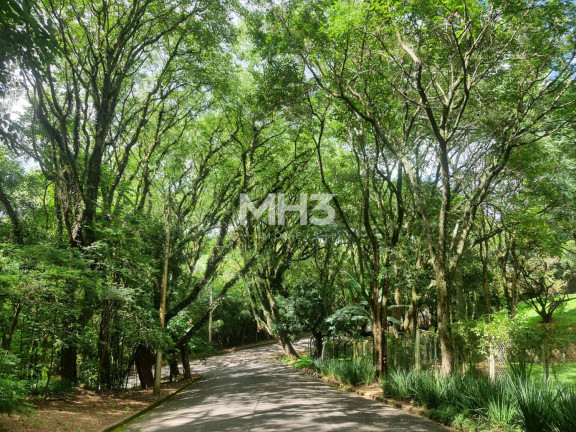 Imagem Terreno à Venda, 1.650 m² em Joaquim Egídio - Campinas Imagem Terreno à Venda, 1.650 m² em Joaquim Egídio - Campinas