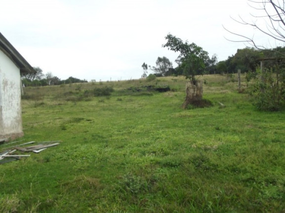Imagem Chácara com 1 Quarto à Venda, 108.000 m² em Itapuã - Viamão Imagem Chácara com 1 Quarto à Venda, 108.000 m² em Itapuã - Viamão