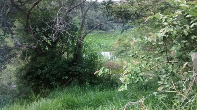 Imagem Chácara à Venda, 3.296 m² em Sitio Pedro Leonardo - Guararema Imagem Chácara à Venda, 3.296 m² em Sitio Pedro Leonardo - Guararema