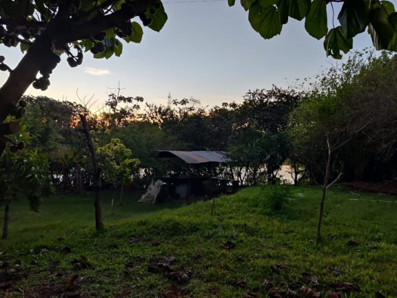 Imagem Imóvel com 3 Quartos à Venda, 29.000 m² em Tres Lagoas Imagem Imóvel com 3 Quartos à Venda, 29.000 m² em Tres Lagoas