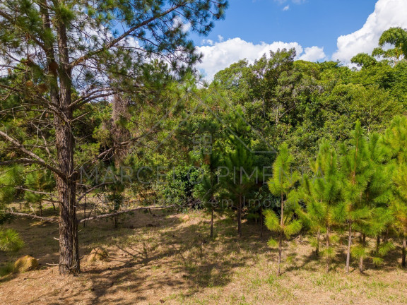 Imagem Terreno à Venda, 21.000 m² em Chácaras Alpina - Valinhos Imagem Terreno à Venda, 21.000 m² em Chácaras Alpina - Valinhos