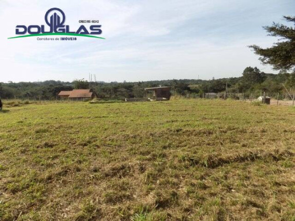 Imagem Chácara à Venda, 5.000 m² em Viamão