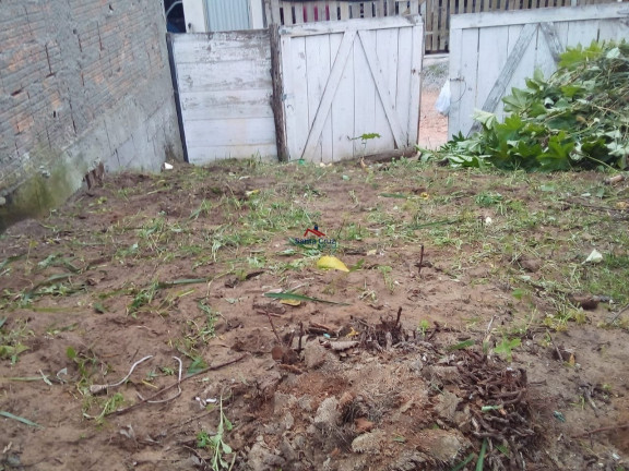 Imagem Terreno à Venda, 57 m² em São João Do Rio Vermelho - Florianópolis Imagem Terreno à Venda, 57 m² em São João Do Rio Vermelho - Florianópolis