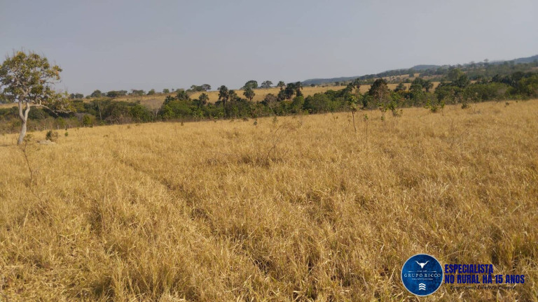 Imagem Chácara à Venda, 20 m² em Zona Rural - Morro Agudo De Goiás Imagem Chácara à Venda, 20 m² em Zona Rural - Morro Agudo De Goiás