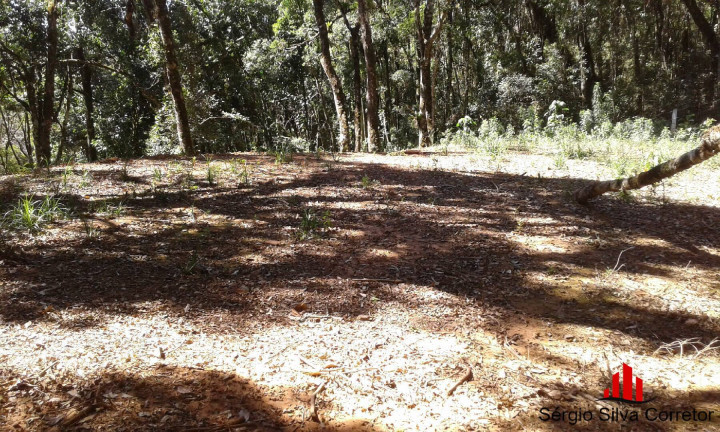 Imagem Terreno à Venda, 1 m² em Alto Do Capivari - Campos Do Jordão Imagem Terreno à Venda, 1 m² em Alto Do Capivari - Campos Do Jordão
