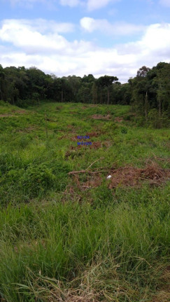 Imagem Terreno à Venda, 5.000 m² em Pedro Machado - Contenda