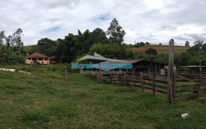 Imagem Imóvel com 2 Quartos à Venda, 9 m² em Zona Rural - Borda Da Mata Imagem Imóvel com 2 Quartos à Venda, 9 m² em Zona Rural - Borda Da Mata