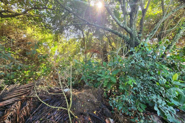 Imagem Terreno à Venda, 950 m² em Centro - Maricá