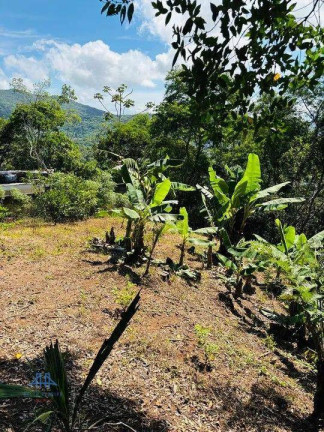 Imagem Terreno à Venda, 525 m² em Córrego Grande - Florianópolis Imagem Terreno à Venda, 525 m² em Córrego Grande - Florianópolis