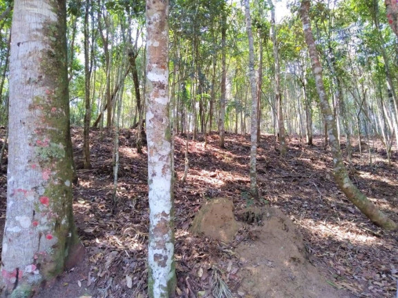 Imagem Terreno à Venda, 4.685 m² em Vargem Grande - Teresópolis Imagem Terreno à Venda, 4.685 m² em Vargem Grande - Teresópolis