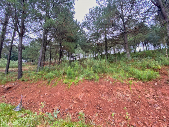 Imagem Terreno à Venda, 450 m² em Dutra - Gramado Imagem Terreno à Venda, 450 m² em Dutra - Gramado