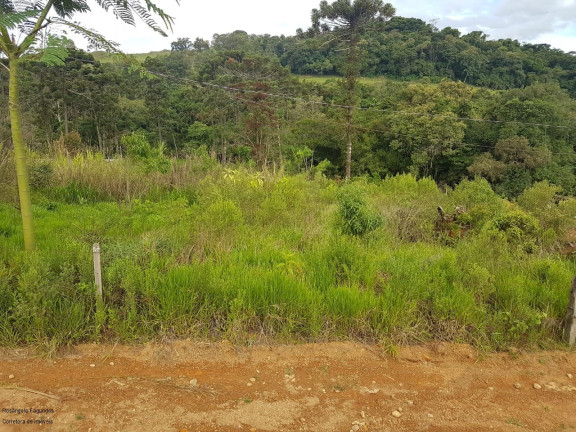 Imagem Imóvel à Venda, 2.000 m² em Laranjeiras De Caldas - Laranjeiras De Caldas Imagem Imóvel à Venda, 2.000 m² em Laranjeiras De Caldas - Laranjeiras De Caldas