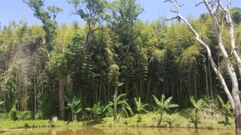 Imagem Terreno à Venda, 500.000 m² em Florada Raizes - Cotia Imagem Terreno à Venda, 500.000 m² em Florada Raizes - Cotia