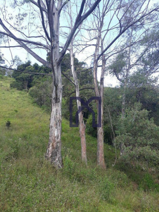 Imagem Fazenda à Venda, 360.000 m² em Cubatão - Marmelópolis Imagem Fazenda à Venda, 360.000 m² em Cubatão - Marmelópolis