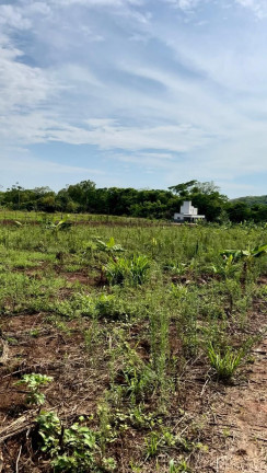 Imagem Imóvel com 2 Quartos à Venda, 4.550 m² em Centro - Jaraguá Imagem Imóvel com 2 Quartos à Venda, 4.550 m² em Centro - Jaraguá