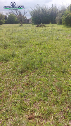 Imagem Chácara à Venda, 3 m² em Viamão Imagem Chácara à Venda, 3 m² em Viamão