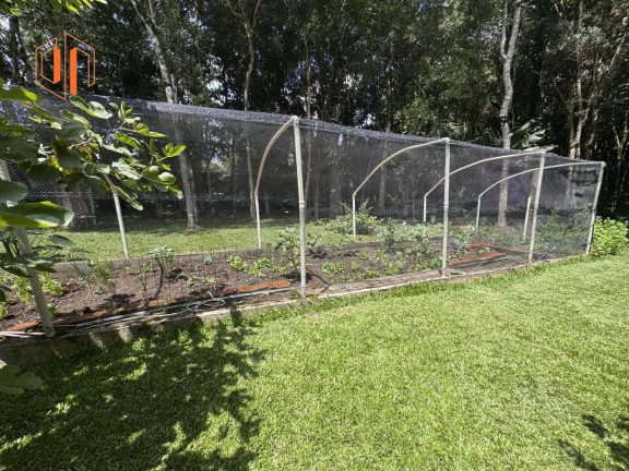 Imagem Imóvel com 2 Quartos à Venda, 6.000 m² em Loteamento Chácara Chantecler - Piraquara Imagem Imóvel com 2 Quartos à Venda, 6.000 m² em Loteamento Chácara Chantecler - Piraquara