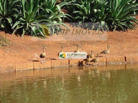 Imagem Casa com 4 Quartos à Venda, 810 m² em Barão Geraldo - Campinas Imagem Casa com 4 Quartos à Venda, 810 m² em Barão Geraldo - Campinas