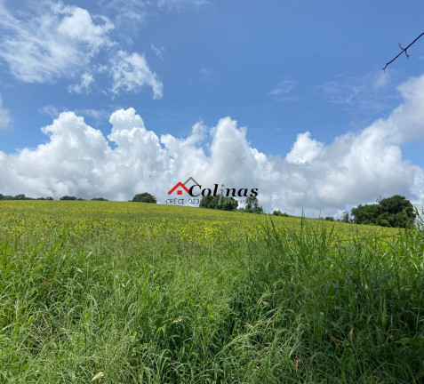 Imagem Terreno à Venda, 276.773 m² em Depois Do Centro - Ibiúna Imagem Terreno à Venda, 276.773 m² em Depois Do Centro - Ibiúna