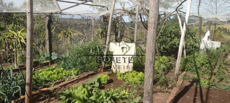Imagem Imóvel com 3 Quartos à Venda, 22.800 m² em São Marcos - Bofete Imagem Imóvel com 3 Quartos à Venda, 22.800 m² em São Marcos - Bofete