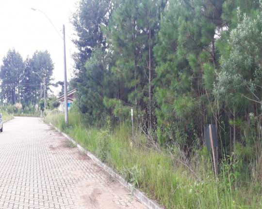 Imagem Imóvel à Venda, 384 m² em Vila Germânia - Nova Petrópolis Imagem Imóvel à Venda, 384 m² em Vila Germânia - Nova Petrópolis
